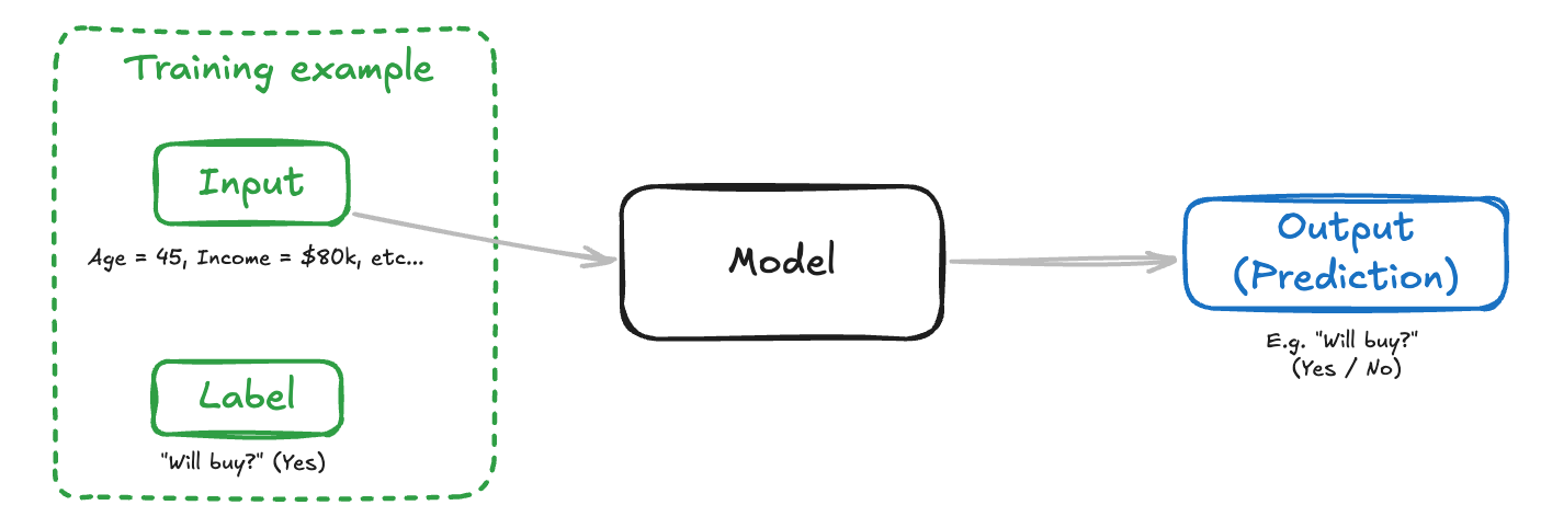 Data Overview